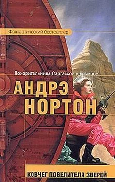 Андрэ Нортон Ковчег повелителя зверей обложка книги