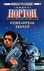 Андрэ Нортон - Повелитель грома [Бог грома]