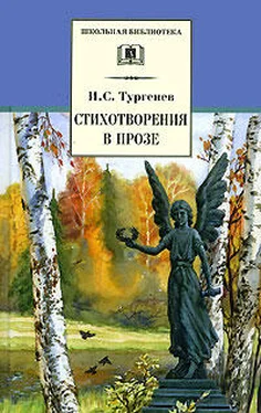 Иван Тургенев Стихотворения в прозе (Senilia) обложка книги