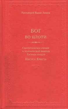 Вадим Леонов Бог во плоти. Святоотеческое учение о человеческой природе Господа нашего Иисуса Христа обложка книги