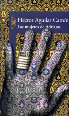 Héctor Camín Las Mujeres De Adriano обложка книги