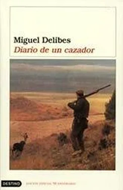 Miguel Delibes Diario de un cazador обложка книги