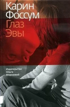 Карен Фоссум Глаз Эвы обложка книги