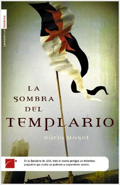 Núria Masot La sombra del templario