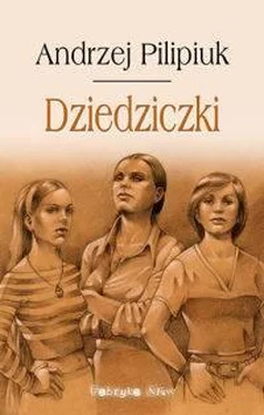 Andrzej Pilipiuk Dziedziczki обложка книги