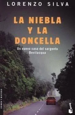 Lorenzo Silva La niebla y la doncella обложка книги