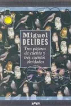 Miguel Delibes Tres Pájaros De Cuenta Y Tres Cuentos Olvidados обложка книги