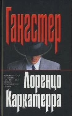 Лоренцо Каркатерра Гангстер обложка книги