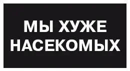 Из трубки доносятся шум бензоколонки завывание ветра хотя Дег и закрыл дверь - фото 23