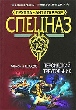 Максим Шахов Персидский треугольник обложка книги