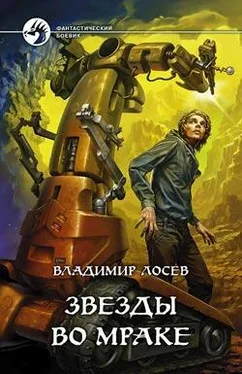 Владимир Лосев Звезды во мраке обложка книги