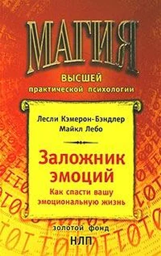 Майкл Лебо Заложник эмоций обложка книги