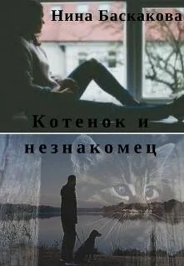 Нина Баскакова Котенок и незнакомец (СИ) обложка книги