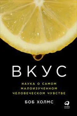 Боб Холмс Вкус: Наука о самом малоизученном человеческом чувстве обложка книги