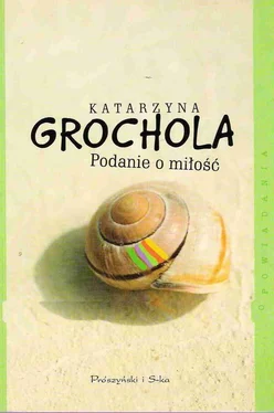 Katarzyna Grochola Podanie O Miłość обложка книги