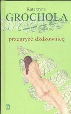 Katarzyna Grochola Przegryźć Dżdżownicę обложка книги