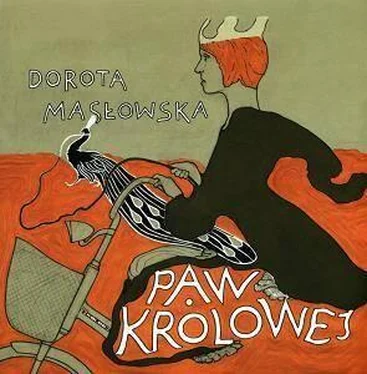 Dorota Masłowska Paw królowej обложка книги