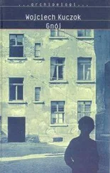 Wojciech Kuczok - Gnój