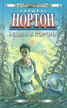 Андрэ Нортон Новая порода обложка книги