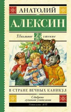 Анатолий Алексин В стране вечных каникул. Мой брат играет на кларнете. Коля пишет Оле, Оля пишет Коле [сборник] обложка книги