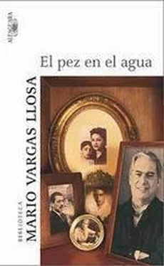 Mario Llosa El Pez En El Agua обложка книги