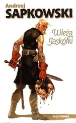 Andrzej Sapkowski - Wieża jaskółki