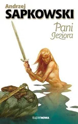 Andrzej Sapkowski - Pani jeziora