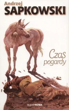 Andrzej Sapkowski Czas pogardy обложка книги