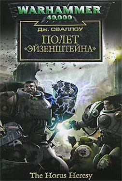 Джеймс Сваллоу Полет «Эйзенштейна» обложка книги