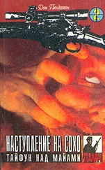 Дон Пендлтон - Тайфун над Майами