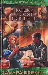 Эдуард Веркин - Кошки ходят поперек