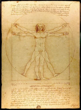 Неизвестный Автор О Леонардо и его вглядах (реферат) обложка книги