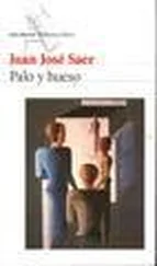 Juan Saer - Palo y hueso