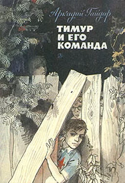 Аркадий Гайдар Тимур и его команда обложка книги