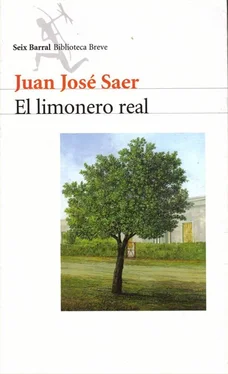 Juan Saer El limonero real обложка книги