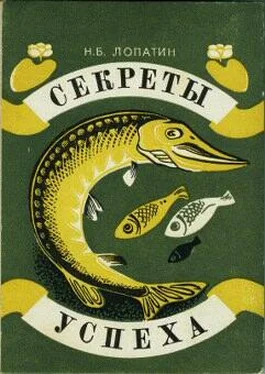 Николай Лопатин Секреты успеха (Записки рыболова) обложка книги