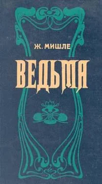 Жюль Мишле Ведьма обложка книги