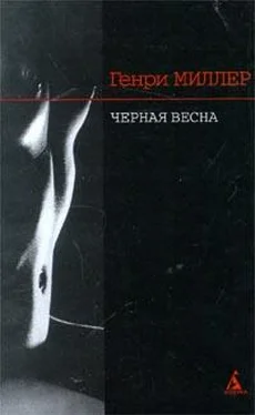 Генри Миллер Черная весна обложка книги