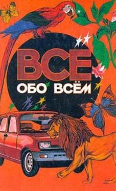 Аркадий Ликум Все обо всем. Том 1 обложка книги