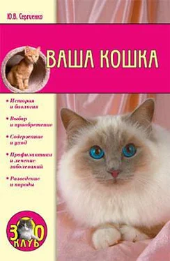 Юлия Сергиенко Ваша кошка обложка книги