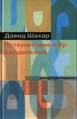 Давид Шахар - Путешествие в Ур Халдейский