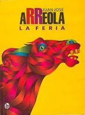 Juan Arreola La Feria обложка книги