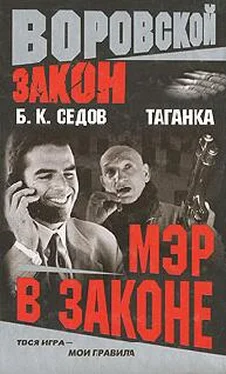 Борис Седов Мэр в законе обложка книги