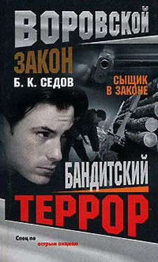 Б. Седов Бандитский террор обложка книги