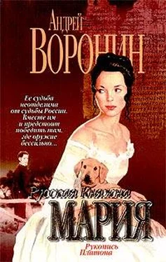 Андрей Воронин Рукопись Платона обложка книги