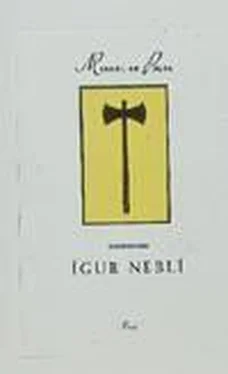 Miquel de Palol Ígur Neblí обложка книги