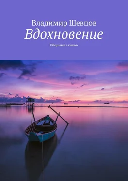 Владимир Шевцов Вдохновение [сборник] обложка книги