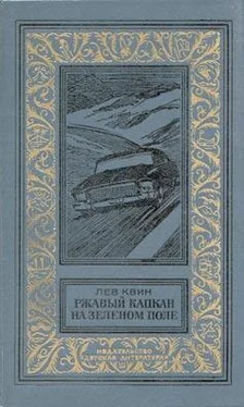 Лев Квин Ржавый капкан на зеленом поле обложка книги