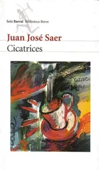 Juan Saer - Cicatrices