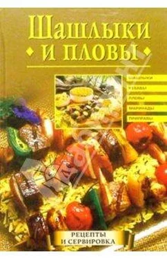 Анастасия Красичкова Шашлыки и пловы обложка книги